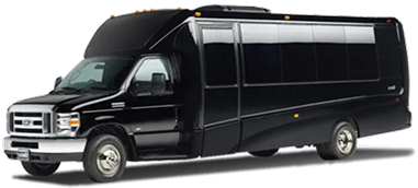 Luxury Mini Bus Image